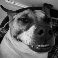 y0u