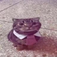 oksouza