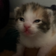 Stormi49