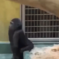 godmxyo