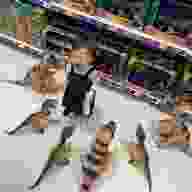 Splicer